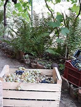 15-2019-09-21 at 20.42.16.jpeg